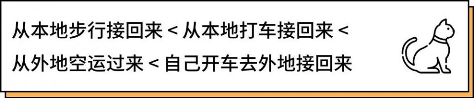 城市里养猫的人非富即贵,有多少人养猫家里有钱了