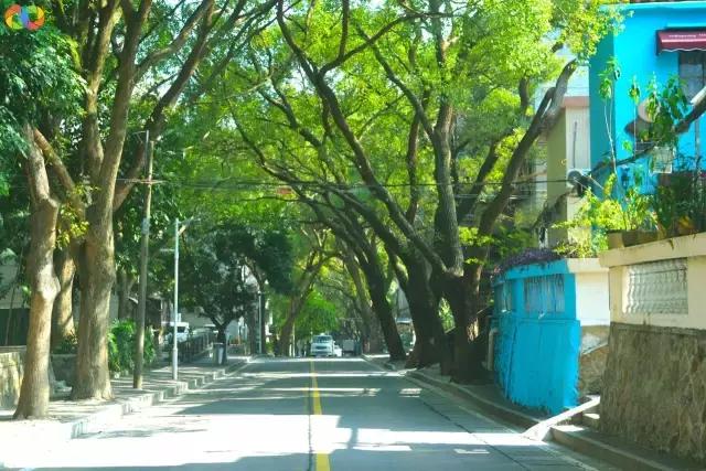 从平安路到桃园路的旧街，独属于老香洲的记忆