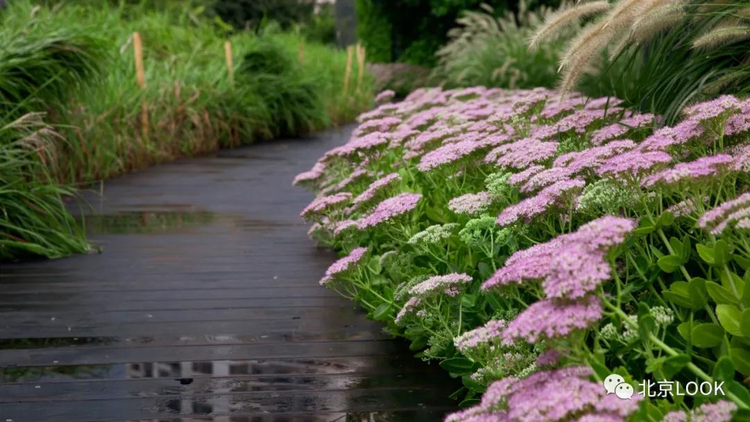 soho极简小办公室,soho北京总部设计