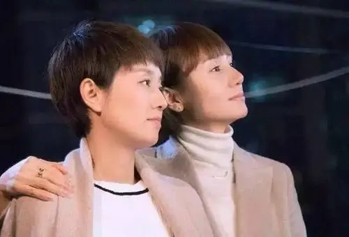 我的前半生罗子君深度解析,我的前半生罗子君有多讨人嫌