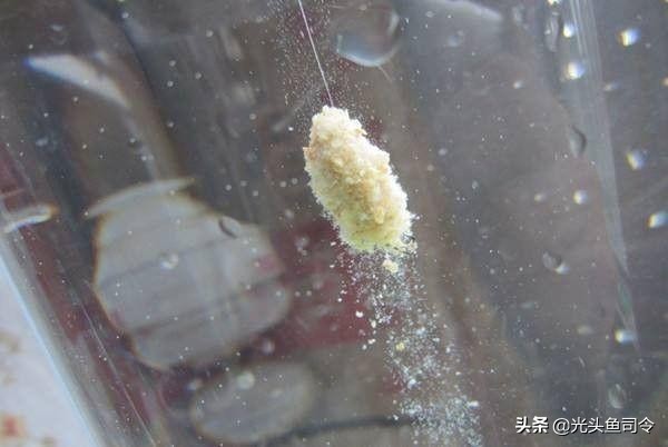 野钓小鱼闹窝怎么办用几号钩,野钓小鱼闹窝的最有效的方法