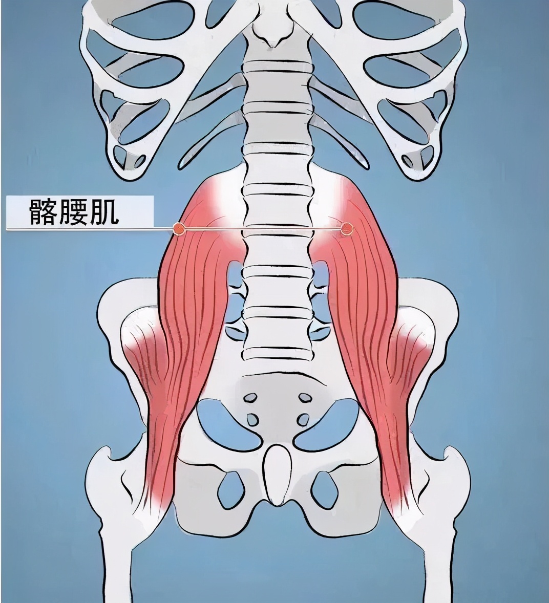 顽固体质的大粗腿怎么瘦下来,顽固腿粗怎么都减不下来咋办
