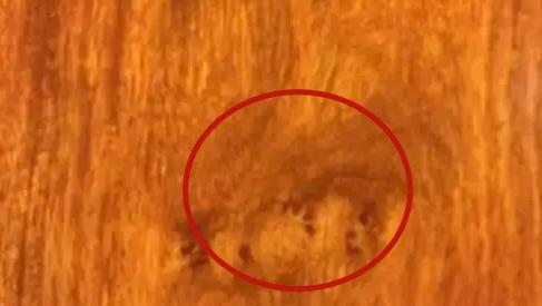 花梨木家具真假鉴别,5万元的红木家具是真的吗