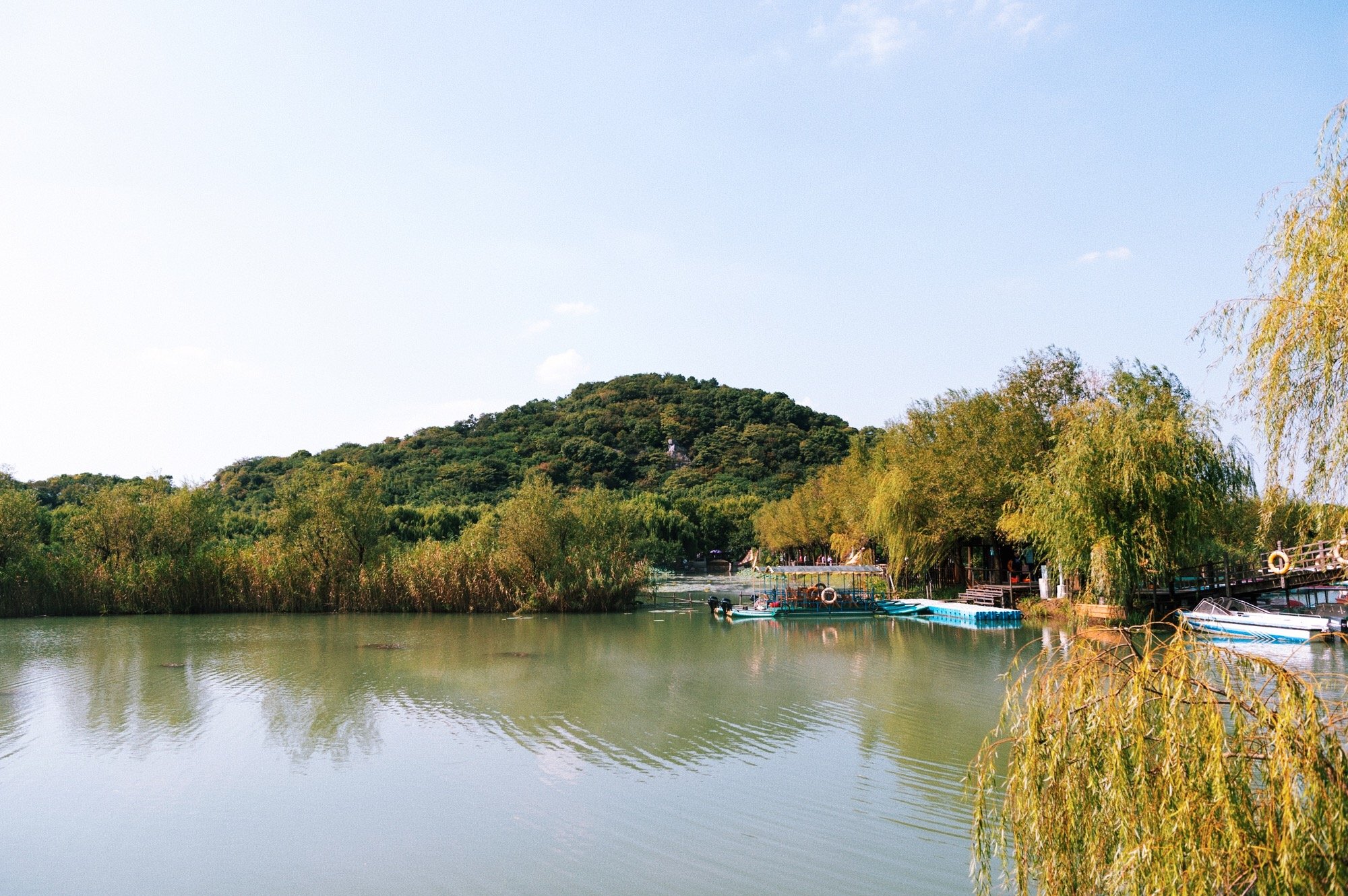藏在苏州太湖的绝美小岛,苏州太湖三山岛风景区介绍