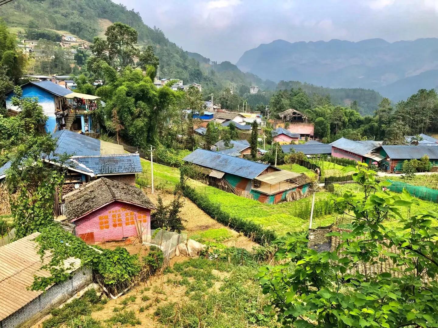 军校毕业在部队20年,军校毕业进入一线作战部队