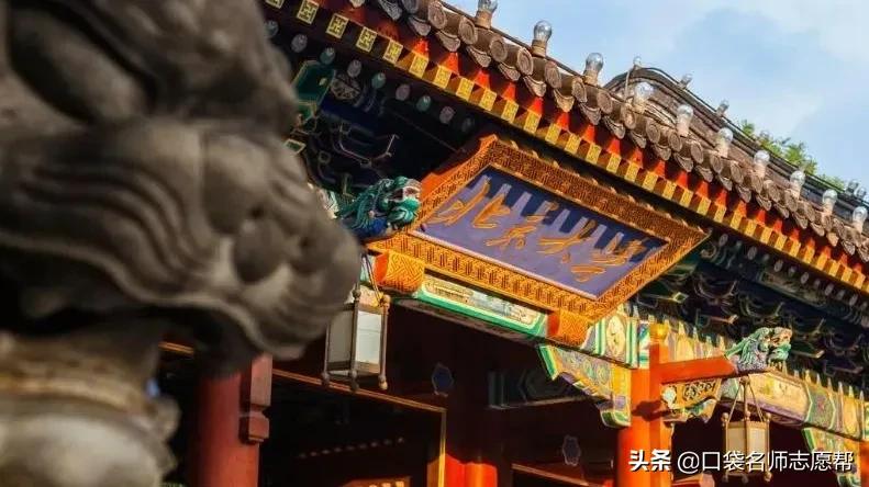 985211院校含金量最高的专业,全国高校985211大学中的优势专业