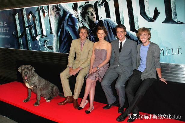 哈利波特中的虎斑猫是谁,哈利波特的黑狗是谁