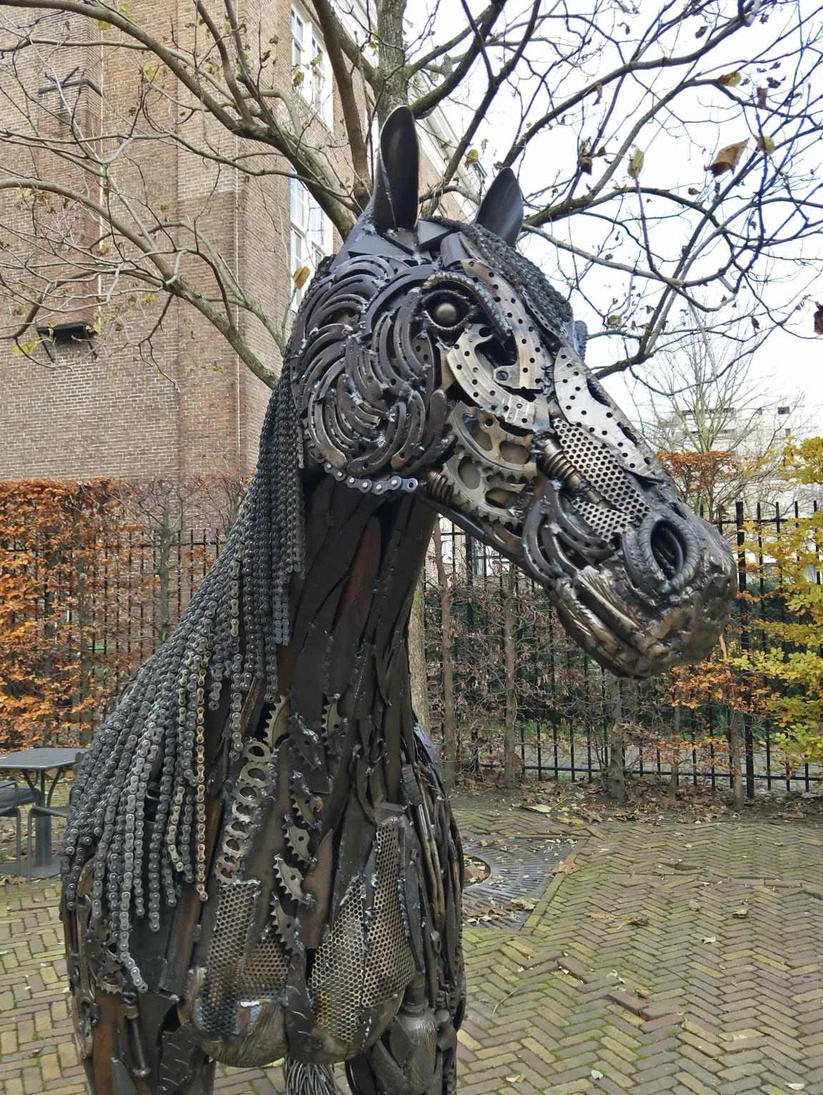 第一天去荷兰旅行,到荷兰的第一天