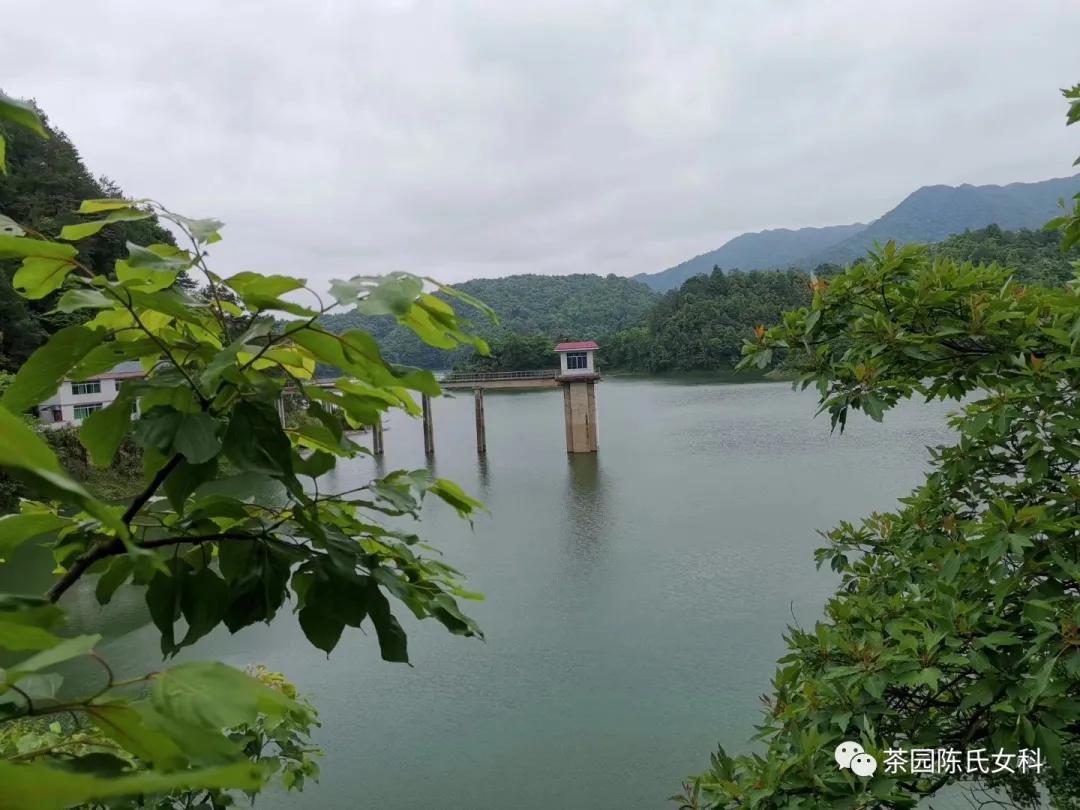 春笋可口，谨防湿热带下