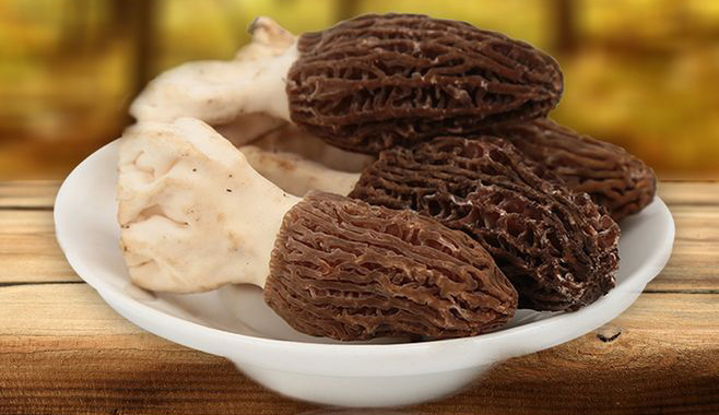 羊肚菌种植栽培技术视频教程（完整版）