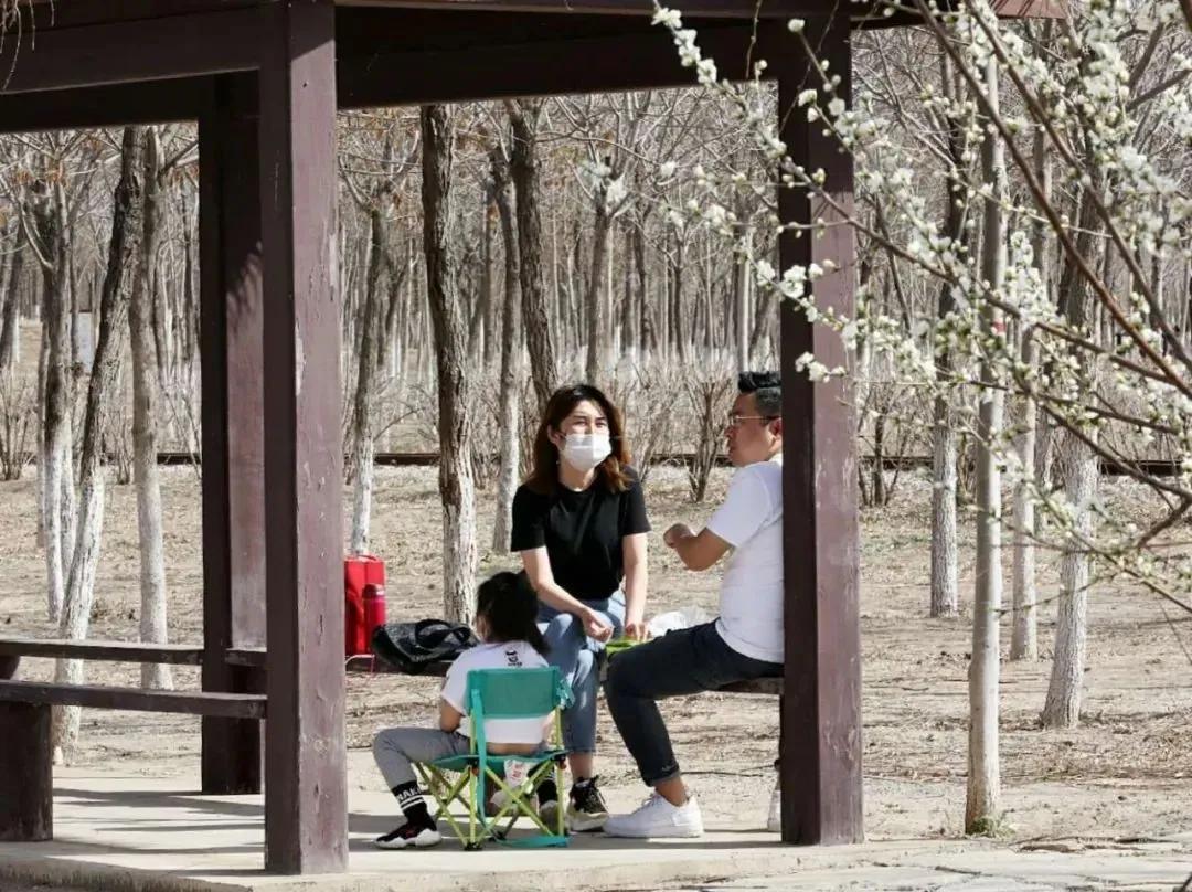 天津市五一新开放的公园,天津地区春暖花开的时间