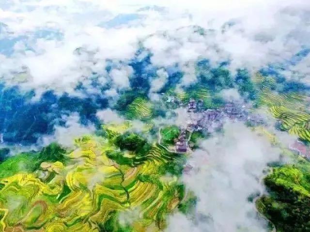 农村电商王军龙,农业电商领军人物