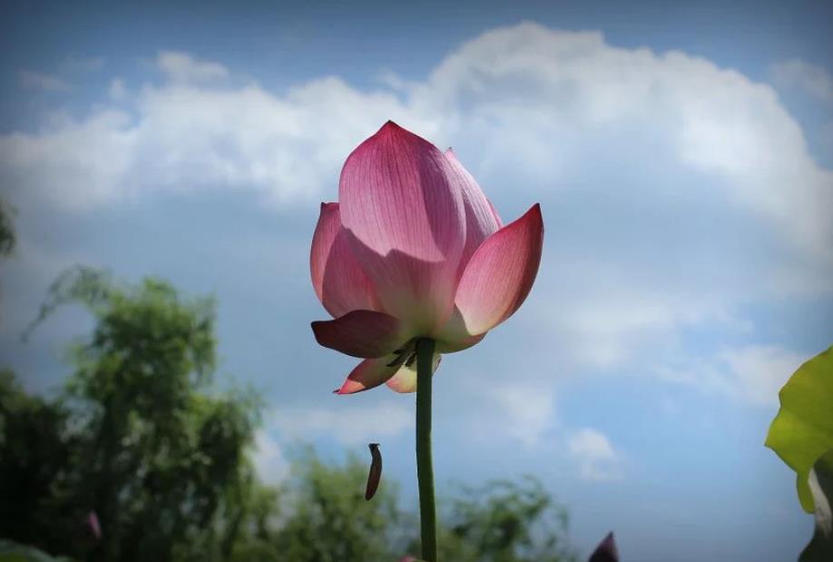 立德立功立言经典语录,夫立德立功立言原文