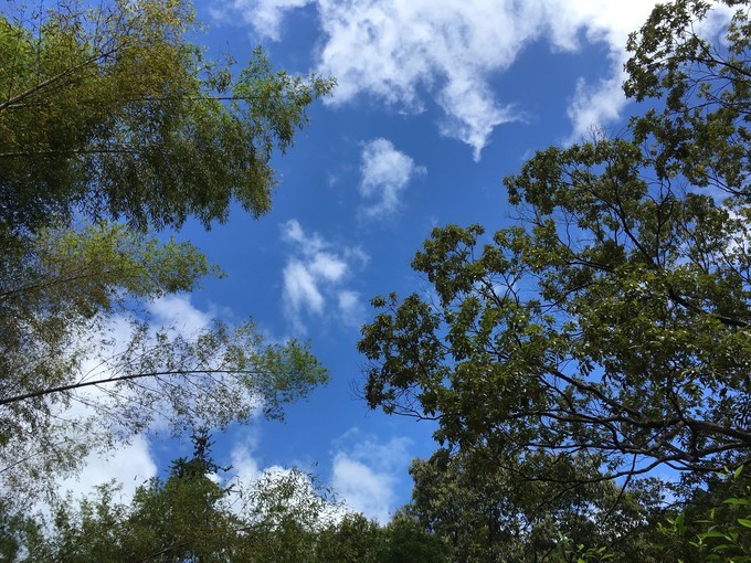 广州从化溪头村一日游出游攻略,从化溪头村自驾游攻略视频