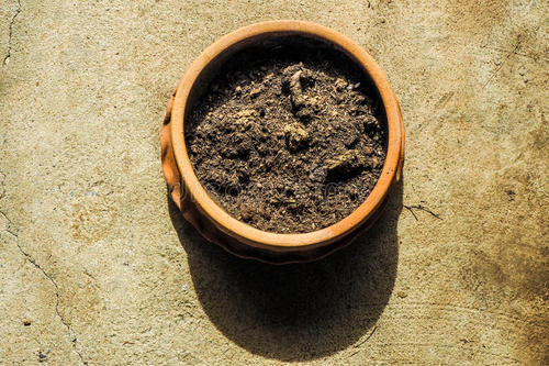 土里有虫卵别大意，赶紧来几样东西灭虫，效果好不用买除虫剂