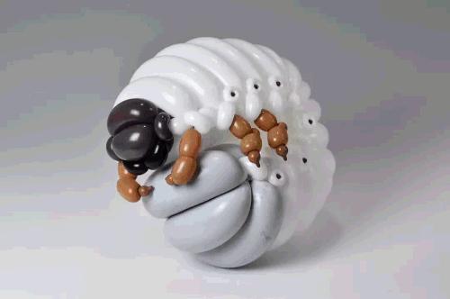 长气球的天鹅编法,天鹅气球编法