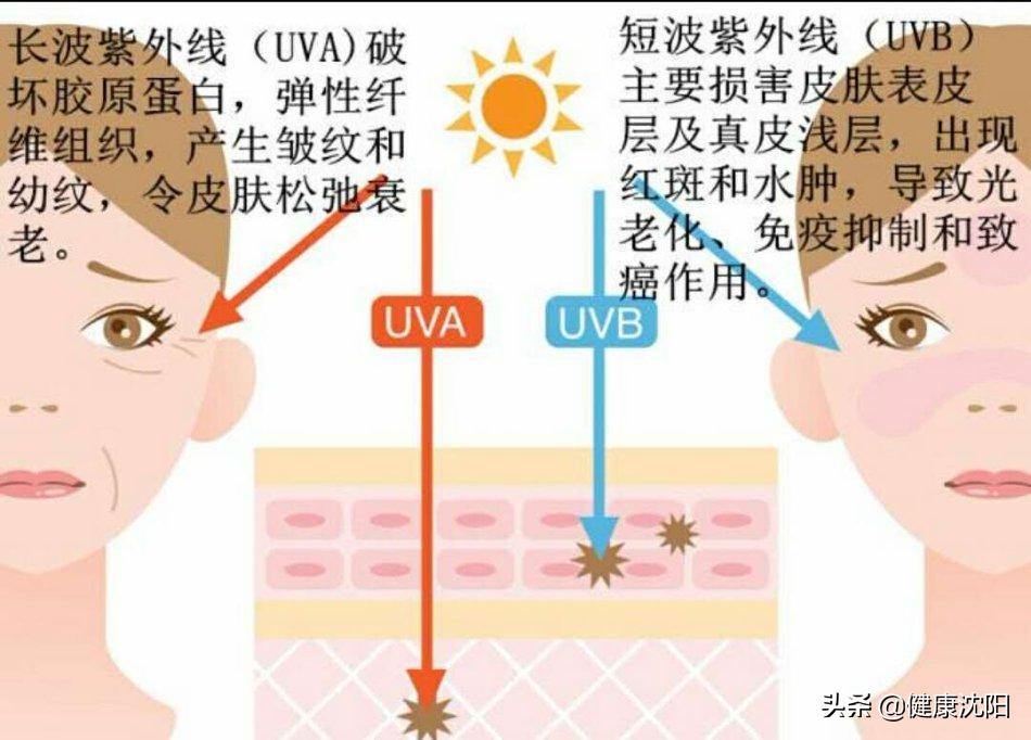 健康科普堂简介,健康科普堂作品