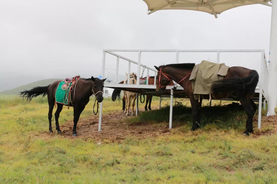 敖包相会的地方,敖包相会的地方通辽