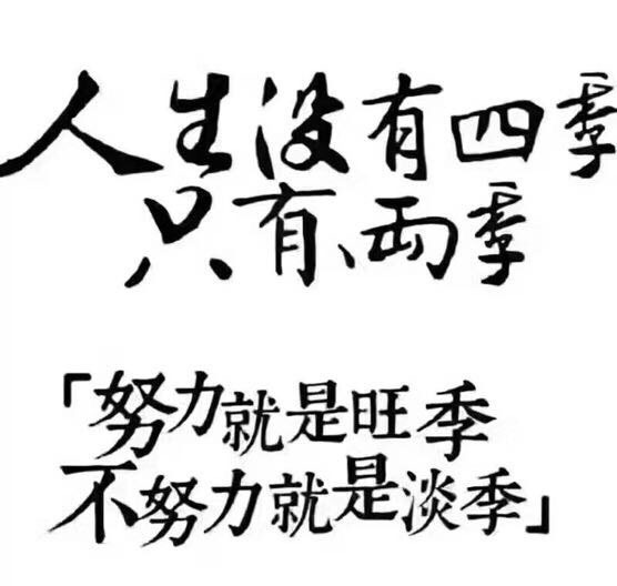 七月好消息，网红仟代烧仙草带您名利双收