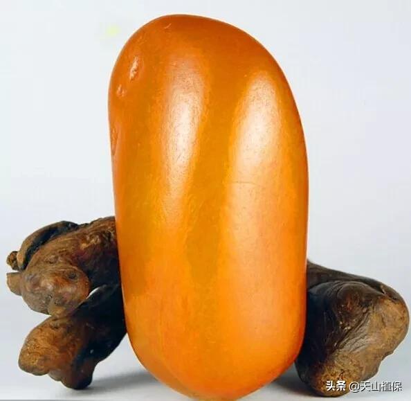 怎么捡到价值极高的石头,捡到一块石头价值千万