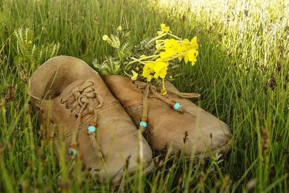 神秘的藏地精灵，米拉子子与米拉的故事