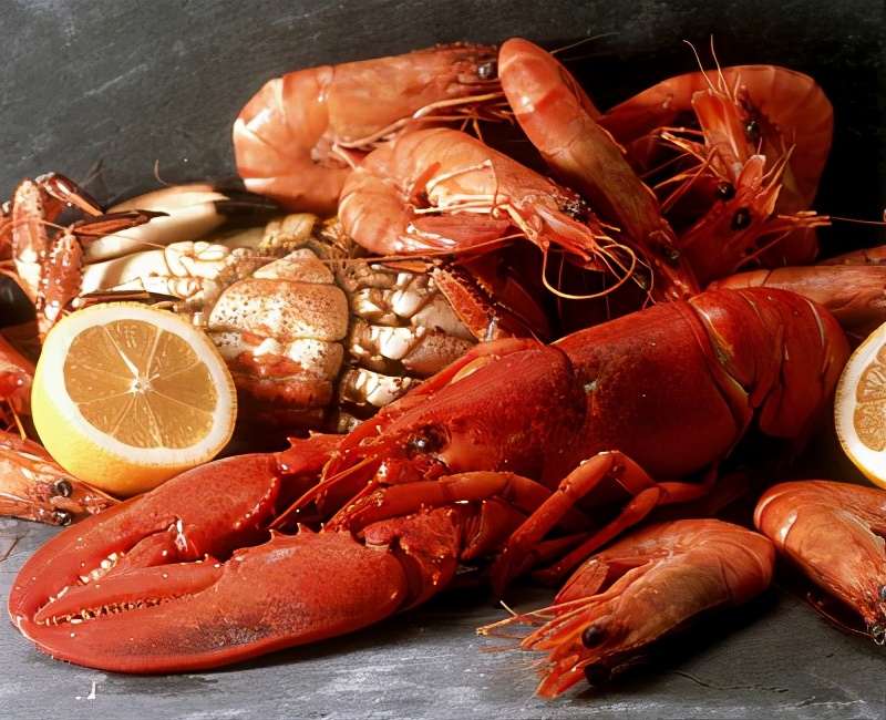 海鲜怎么在家活体保存,新鲜海鲜怎么储存不会坏