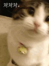 《空之轨迹》手游开局职业怎么选？占卜师最难，手残*党**盲选大剑士