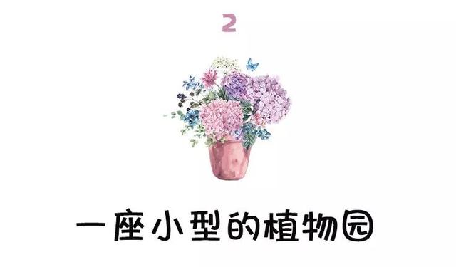 西安三桥附近哪里有花卉市场,西安北二环大明宫花卉市场地址