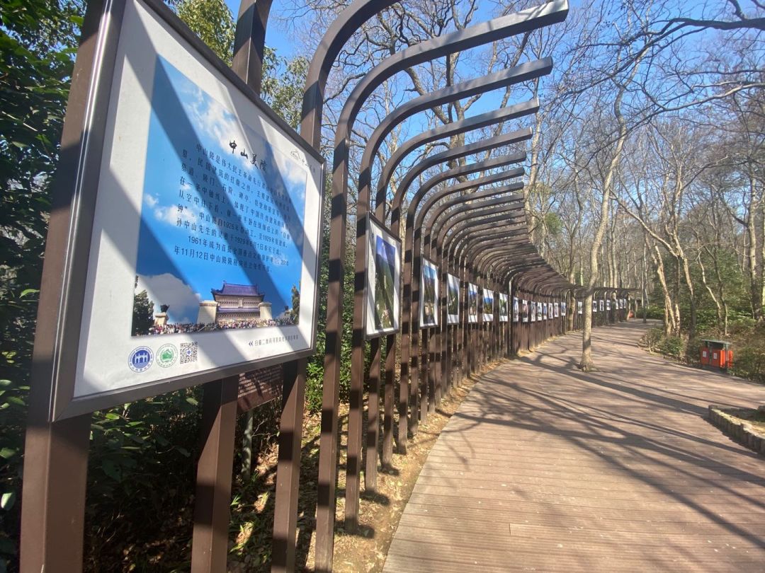 南京复工复产,硬核复工碧桂园