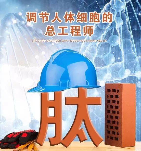 肽营养学|喝肽，要从“懂肽”开始！