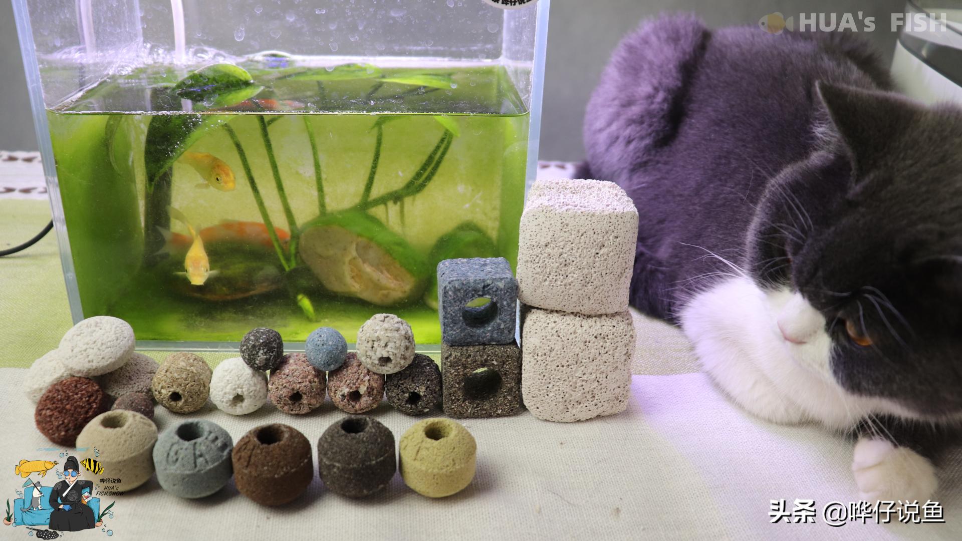 细菌屋滤材普通和石英哪种好,细菌屋滤材小号的还是大号的好