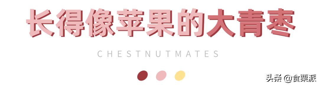 红枣与青枣,红枣黑枣乌枣紫晶枣各有什么区别