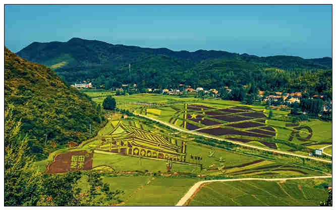 随州大洪山半程马拉松第一名,随州马拉松比赛时间