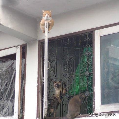 三大运营商可以查30天轨迹吗,三大运营商公布轨迹