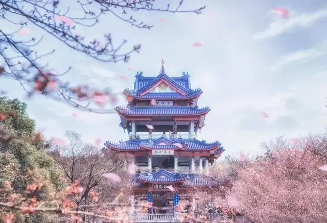 形容人美丽的英语单词,形容一个人的美貌的英语单词