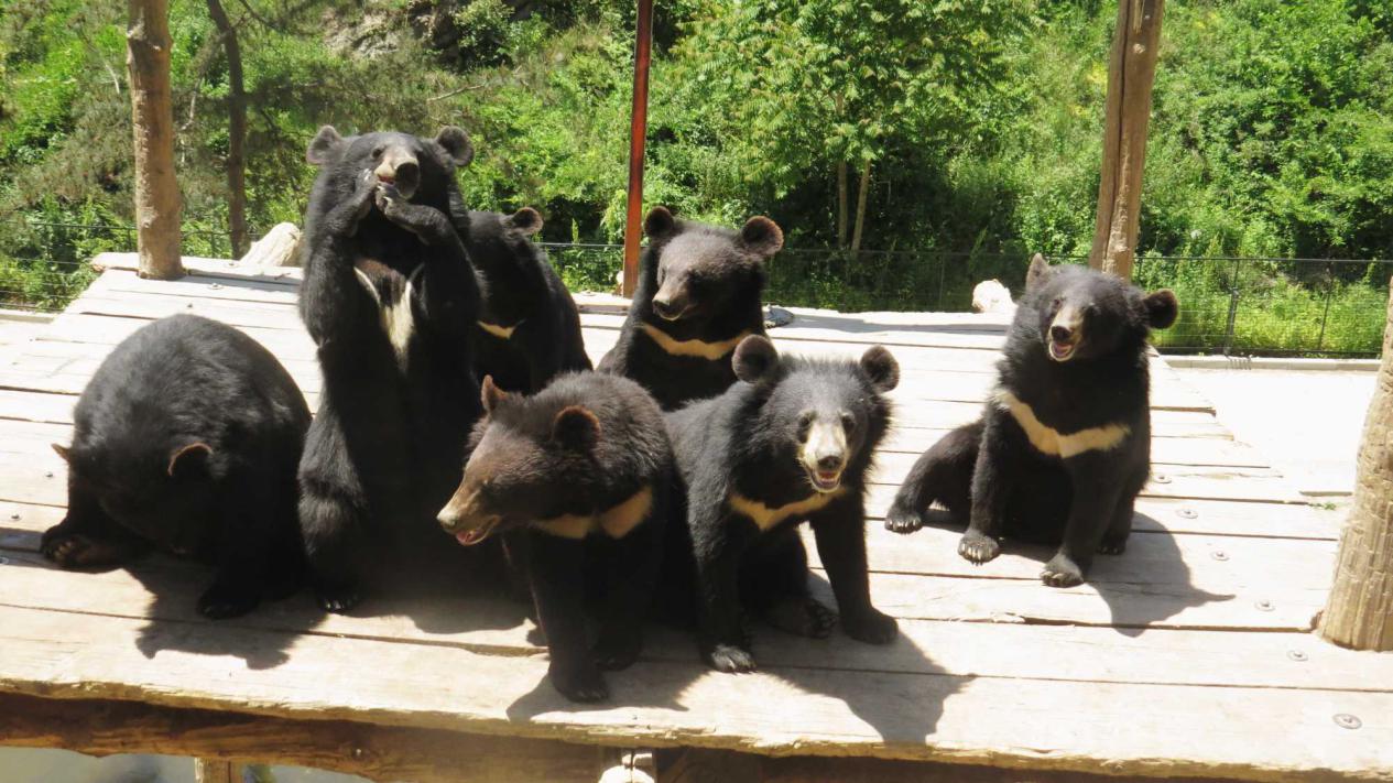 大连春节亲子游推荐,大连亲子游民宿推荐