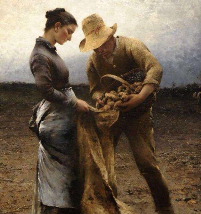 土豆拯救欧洲,土豆拯救了整个欧洲