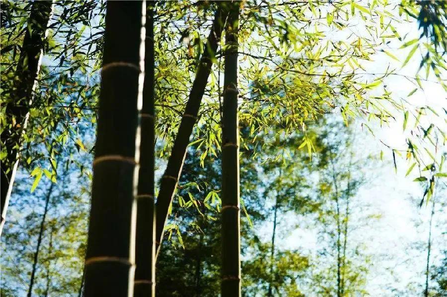 韶关经律论温泉度假村详细地址,韶关经律论温泉周边住宿