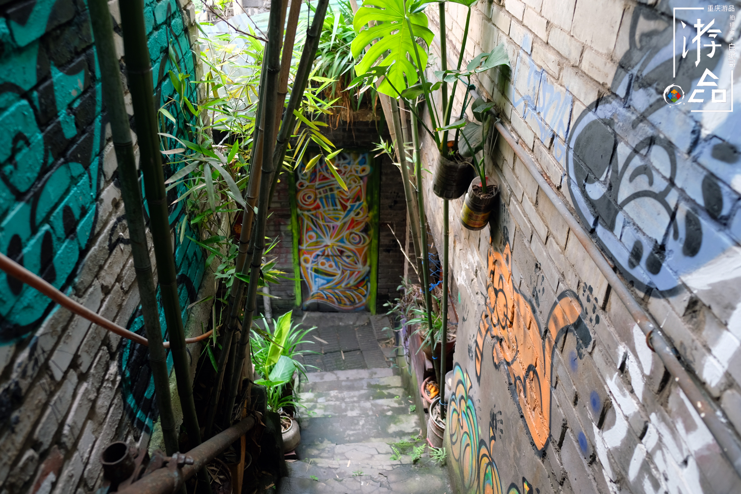 燕子岩重庆,重庆燕子岩风景区