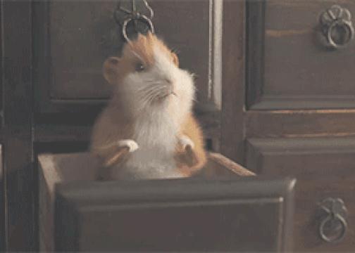 2019年二月营销日历,2022全年营销日历来了建议收藏