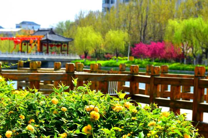 娼嶅潑姹熷寳浠欒崏灏忛晣,浠欒崏灏忛晣娼嶅潑