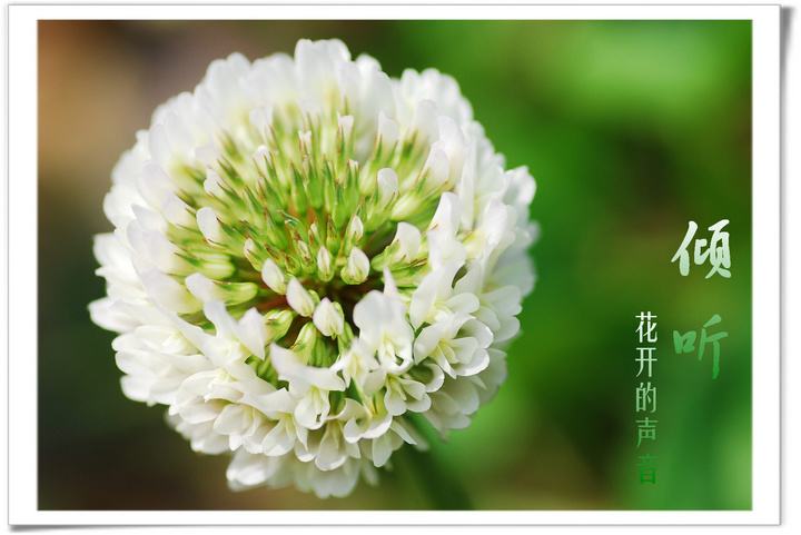 萨提亚家庭治疗四个基本假设,萨提亚家庭治疗理论是什么