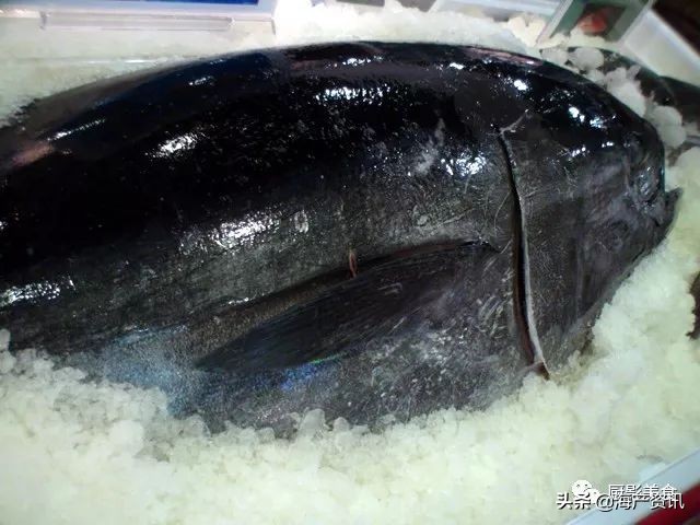 这些外形奇葩而味道超级赞的海鲜,广东十大硬核海鲜品种