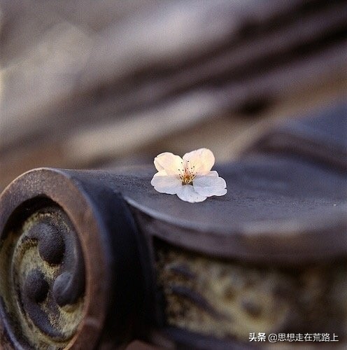 天才是最痛苦的叔本华,天才是一种啥样的人