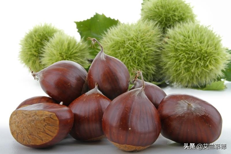 栗子怎么吃不胖,栗子怎么吃不会发胖