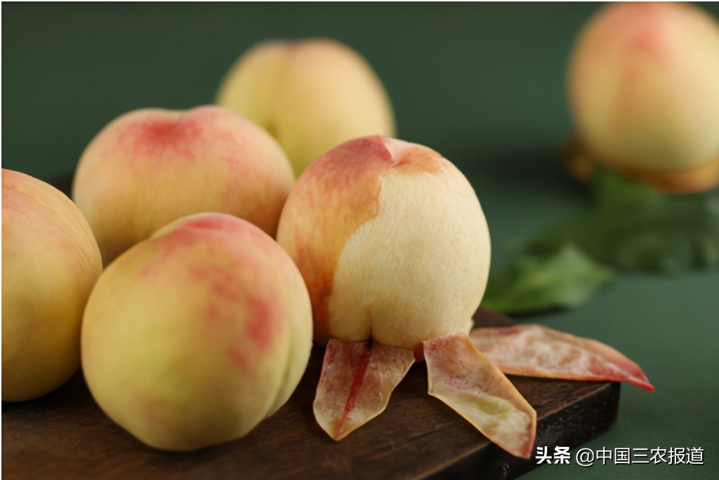 无锡水蜜桃一桃难求,水蜜桃最高可以卖多少元