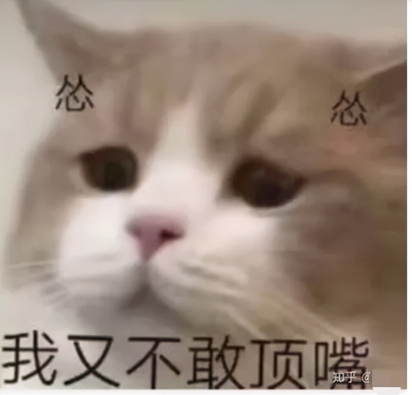 珠海房价哪里最抗跌,珠海楼市潜力板块