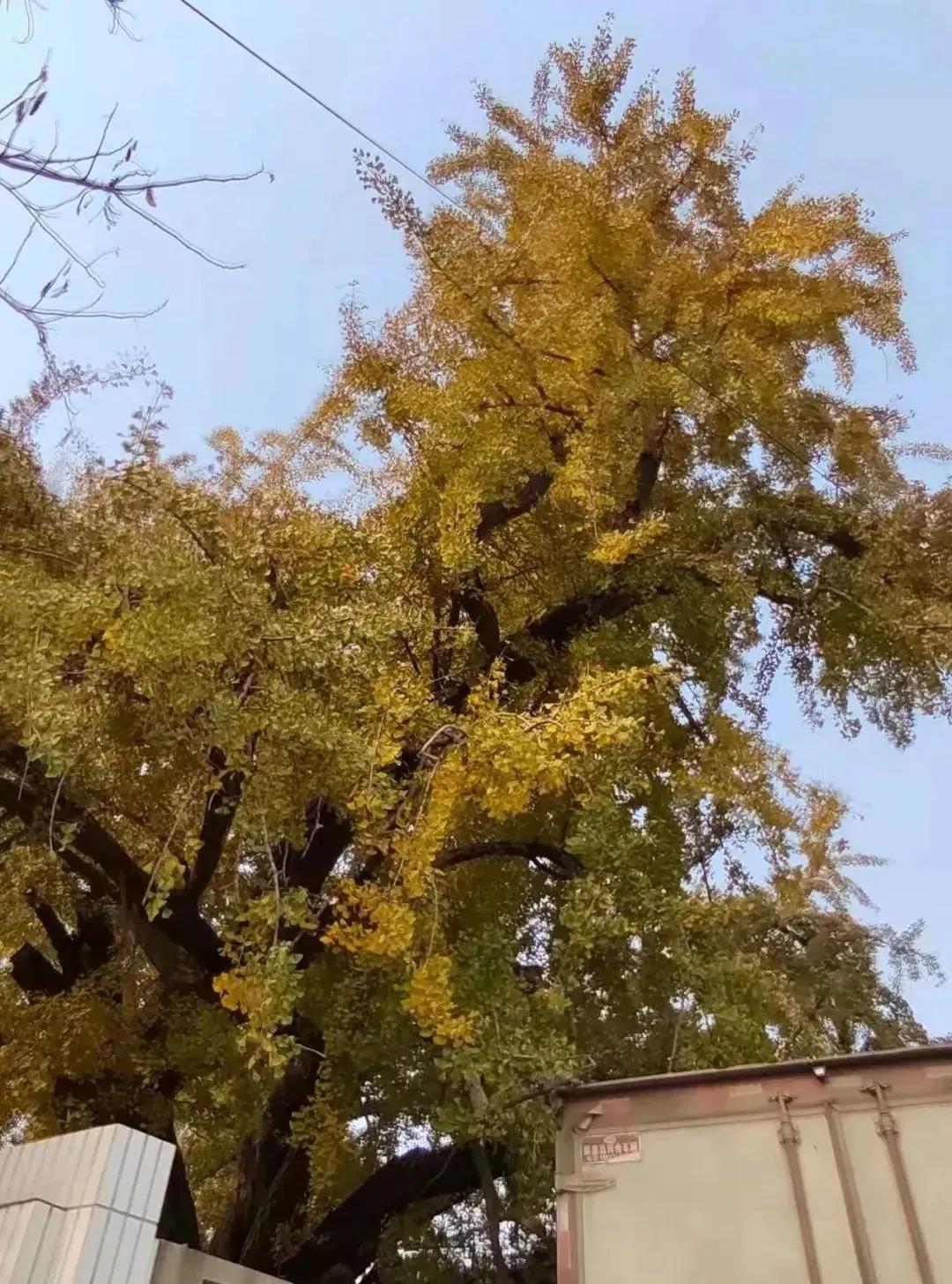 秦皇岛求仙入海恐龙馆,秦皇岛秦始皇求仙入海处遗址图片