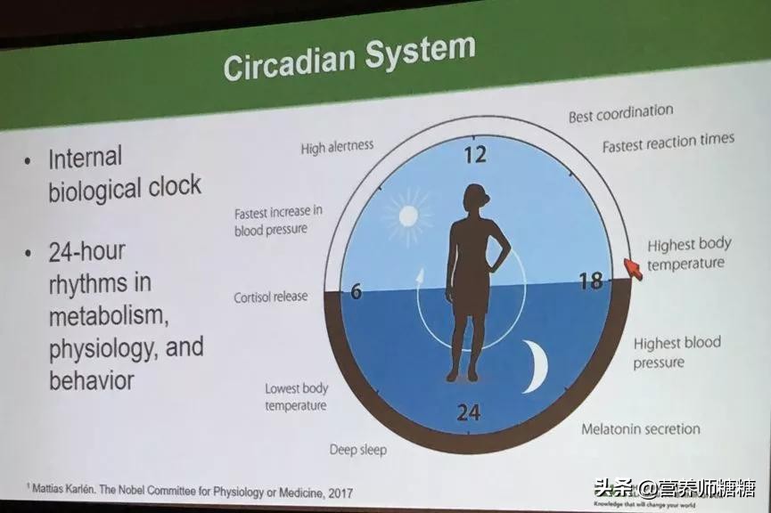 轻断食逆转糖尿病患者,轻断食逆转糖尿病的食谱