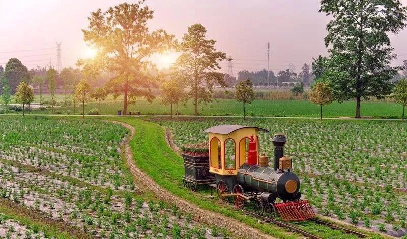 战旗村妈妈农庄,到战旗村妈妈农庄怎么走